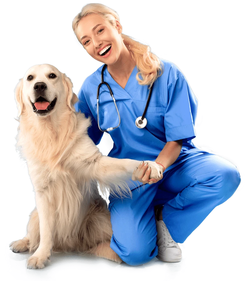 Toiletteuse et chien